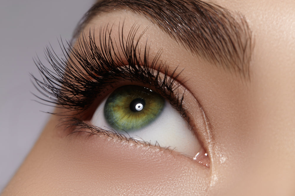 Longer Lashes Now