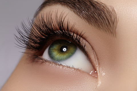 Longer Lashes Now