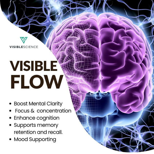 Visible Science Visible Flow - Nootropic Brain & Focus Supplement - Ginkgo Biloba, Bacopa Monnieri & Phosphatidylserine - Daily Capsules