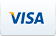 We accept Visa payments